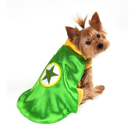 Picture of Anit Accessories EPAP1091-S Superhero Green Dog Costume- Small