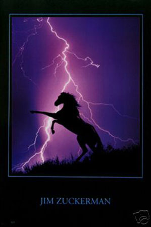 Picture of Hot Stuff Enterprise 2719-24x36-AN Lightning Horse Poster