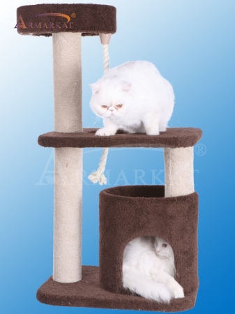 Picture of Armarkat 3-Tier Carpeted Real Wood Cat Tree Condo F3703 Kitten Activity Tree  Brown
