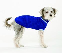 Picture of Ethical Fashion-seasonal 689657 Classic Cable Dog Sweater&#44; Cobalt - Small
