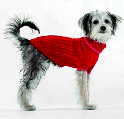 Picture of Ethical Fashion-seasonal 689668 Classic Cable Dog Sweater&#44; Red - Large