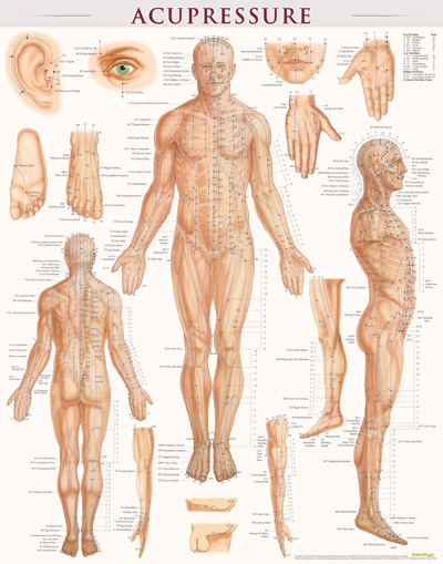 Picture of BarCharts 9781423222651 Acupressure-Laminated