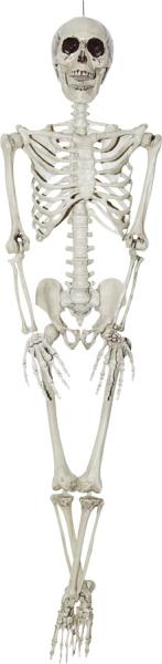 Picture of MorrisCostumes SS80010 Skeleton 36 in.