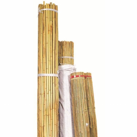 Picture of Bond Tools B07GN308 Natural Bamboo Stakes 36 in.