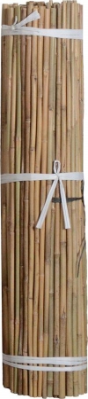 Picture of Bond Tools B07GN408 Natural Bamboo Stakes 48 in.