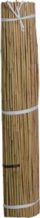 B07GN508 Natural Bamboo Stakes 60 in.