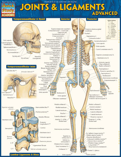 Picture of BarCharts 9781423224181 Joints &amp; Ligaments Advanced