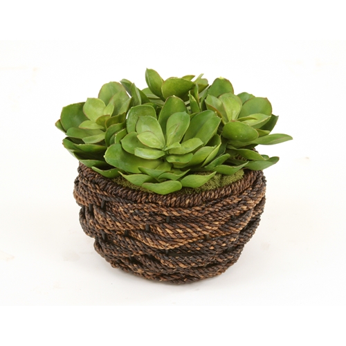 Distinctive Designs International Artificial Hen And Chic Succulents In Round Abaca Rope Basket