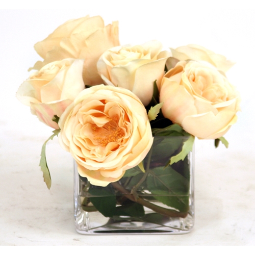 Picture of Distinctive Designs International  16052 Waterlook Silk Champagne Roses In A Small Glass Rectangle