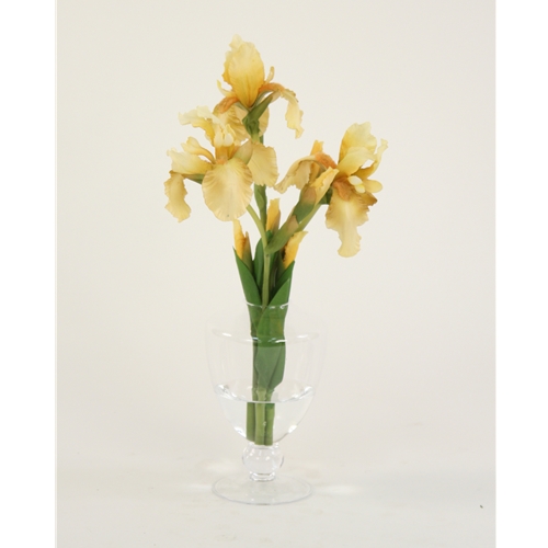 Distinctive Designs International  Waterlook Light Yellow Bearded Iris In Glass Urn