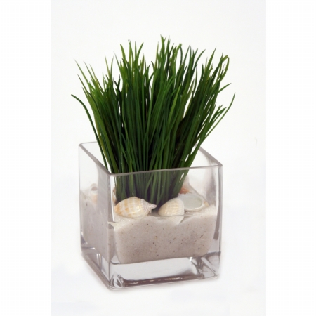 Distinctive Designs International  Grass In Glass Cube With Sand And Shells- Pack 2 - Greens - Forest
