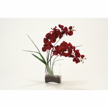 Distinctive Designs International   Red Velvet Phalaenopsis Orchid In Glass Vase