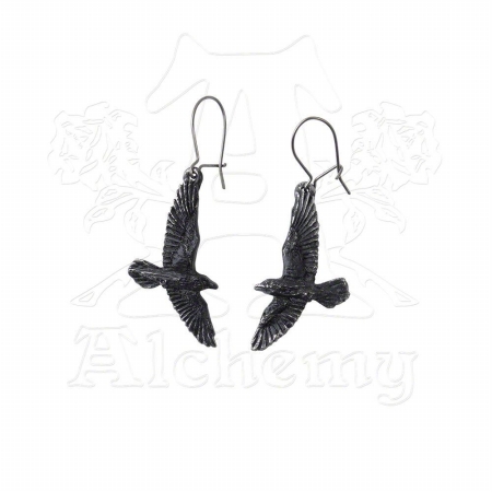 Picture of Alchemy Gothic E333 Black Raven Earrings- Pair