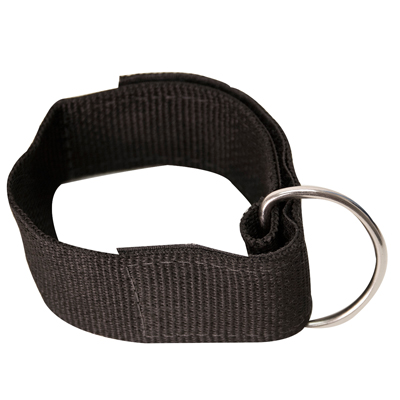 12-0420 Baseline Mmt Accessory- Ankle Cuff