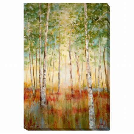 Picture of Artistic Home Gallery 1624312G Birch Woods Canvas Giclee Art - 16 in.