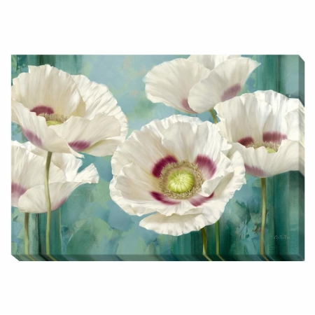 Tasmanian Poppies I Canvas Art - 24 in.