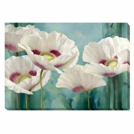 Tasmanian Poppies II Canvas - 24 in.