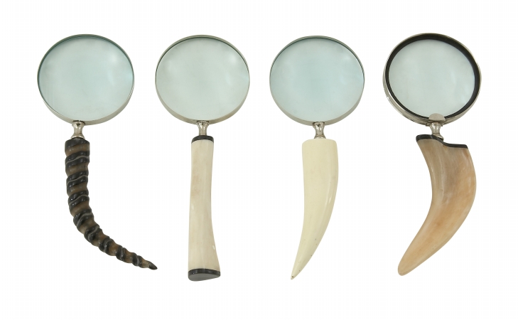 53919 Enthralling Metal Magnify Lens 4 Assorted
