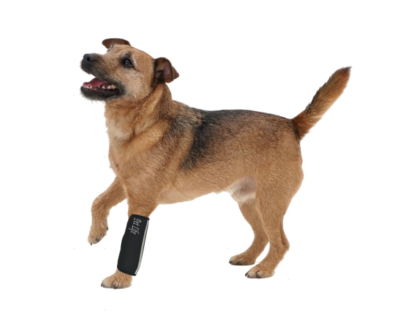 Picture of Pet Life NS1BKSM Extreme-Neoprene Joint Protective Reflective Pet Sleeves- Black - Small