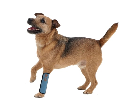 Picture of Pet Life NS1BLMD Extreme-Neoprene Joint Protective Reflective Pet Sleeves- Blue - Medium