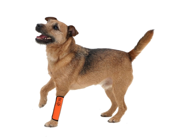 Picture of Pet Life NS1ORSM Extreme-Neoprene Joint Protective Reflective Pet Sleeves- Orange - Small