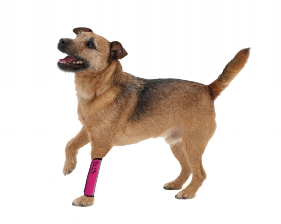 Picture of Pet Life NS1PKMD Extreme-Neoprene Joint Protective Reflective Pet Sleeves- Pink - Medium