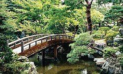 Picture of Biggies WW-BNS-100 Window Well Scenes - Bonsai - 100