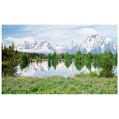 Biggies  Window Well Scenes - Mountain Flower - 120