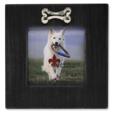 Wash Dog Frame With Bone Ornament - Black, 1.0 in.