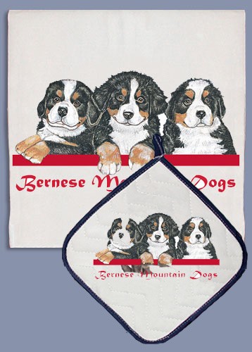 Picture of Pipsqueak Productions DP965B Bernese Dish Towel And Pot Holder Set
