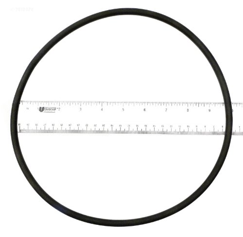 O-443 Starite Lid O-Ring