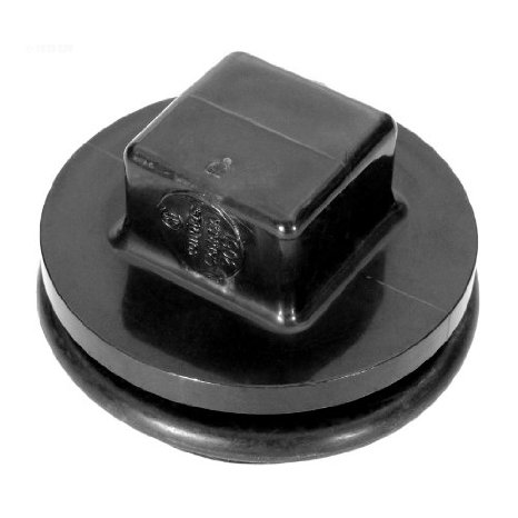 43309103R 1.5 Plug With Gasket