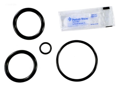 Pentair Rebuild Kit