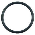 Diffuser O-ring Replacement Eq-series Commercial Pool & Spa Pump