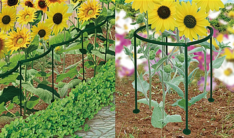 Zenport GA700 Plant Supports- Protect Plants from Wind- Rain