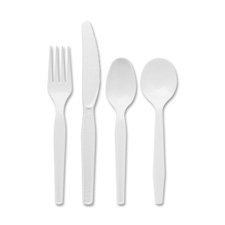 Picture of Dixie Foods DXETM207CT Medium Weight Plastic Cutlery- Teaspoon - 100 Per Count