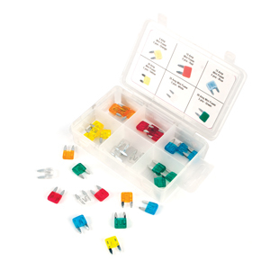 Mini Fuse Assortment