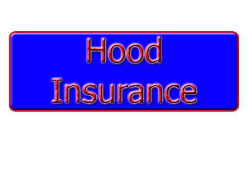 Picture of Airbagit HOO-00-INSURE Hood Insurance