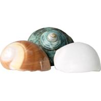 Picture of Flukers 012189 Hermit Headquarters Hermit Crab Growth Shells - Small