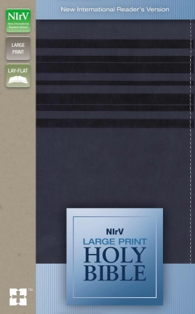 120812 NIrV Large Print Holy Bible  Slate Blue DuoTone