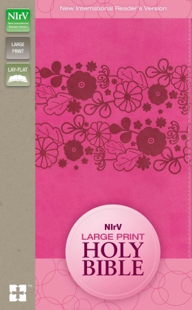 120813 NIrV Large Print Holy Bible  Raspberry DuoTone