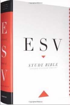 120877 ESV Study Bible Large Print - Hardcover -  Crossway Books