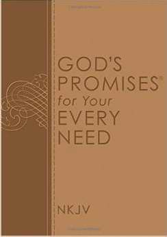 Nelson-Nelson Books  Gods Promises For Your Every Need - Deluxe Edition