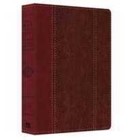Company  KJV Study Bible - Red/Brown DiCarta - Large Print - Premium Edition