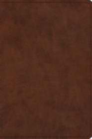ESV Study Bible-Personal Size - Brown TruTone
