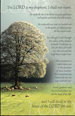 Picture of Anchor Wallace Publishers 73898 Bulletin - Lord Is My Shepherd - I Shall Not Want - White Tree
