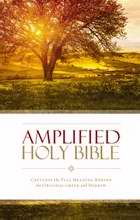 83351 Amplified Holy Bible- Revised - Softcover