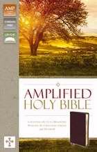 83353 Amplified Holy Bible- Revised - Burgundy Bonded Leather