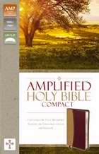 83356 Amplified Holy Bible & Compact- Revised - Camel & Burgundy DuoTone