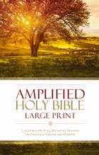 83360 Amplified Holy Bible & Large Print- Revised - Hardcover